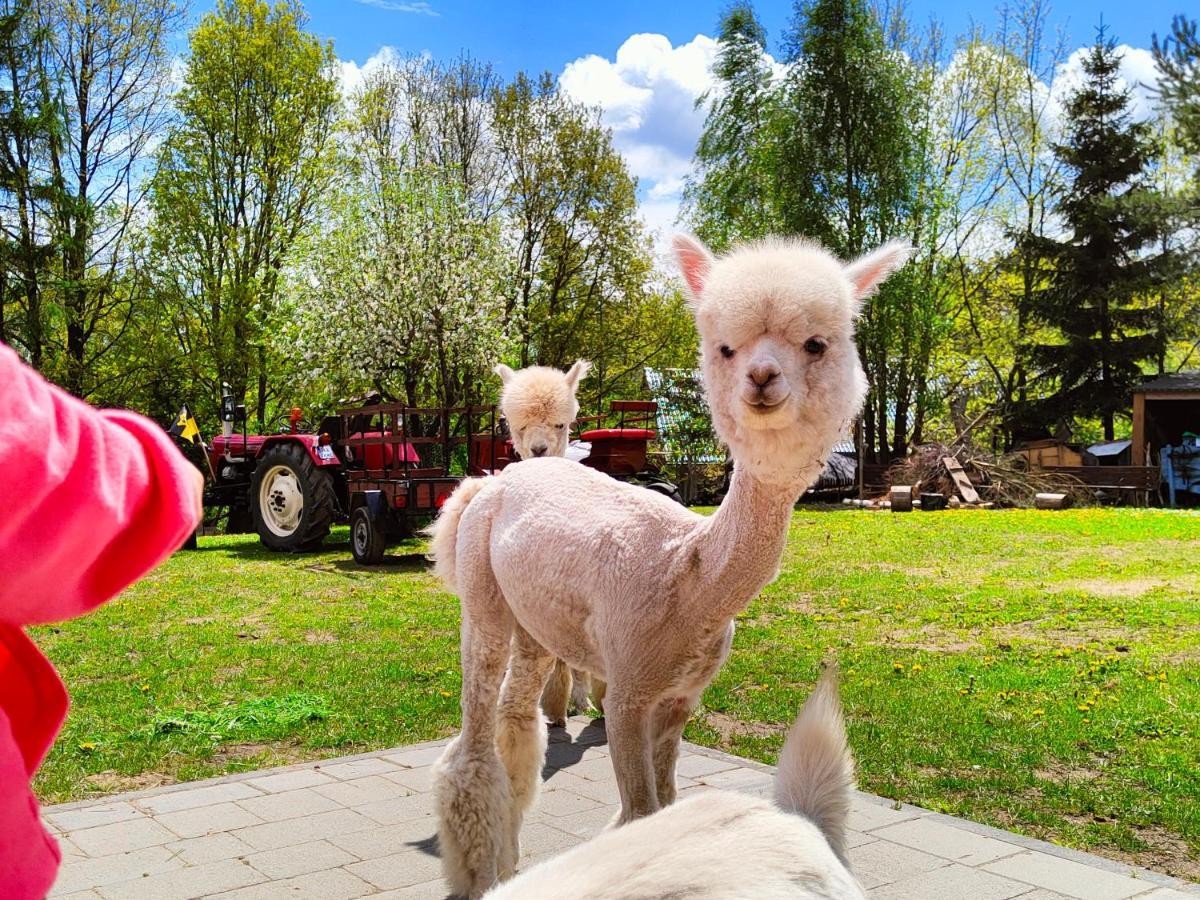 Domek Na Slonecznikowej Chmielno Bagian luar foto