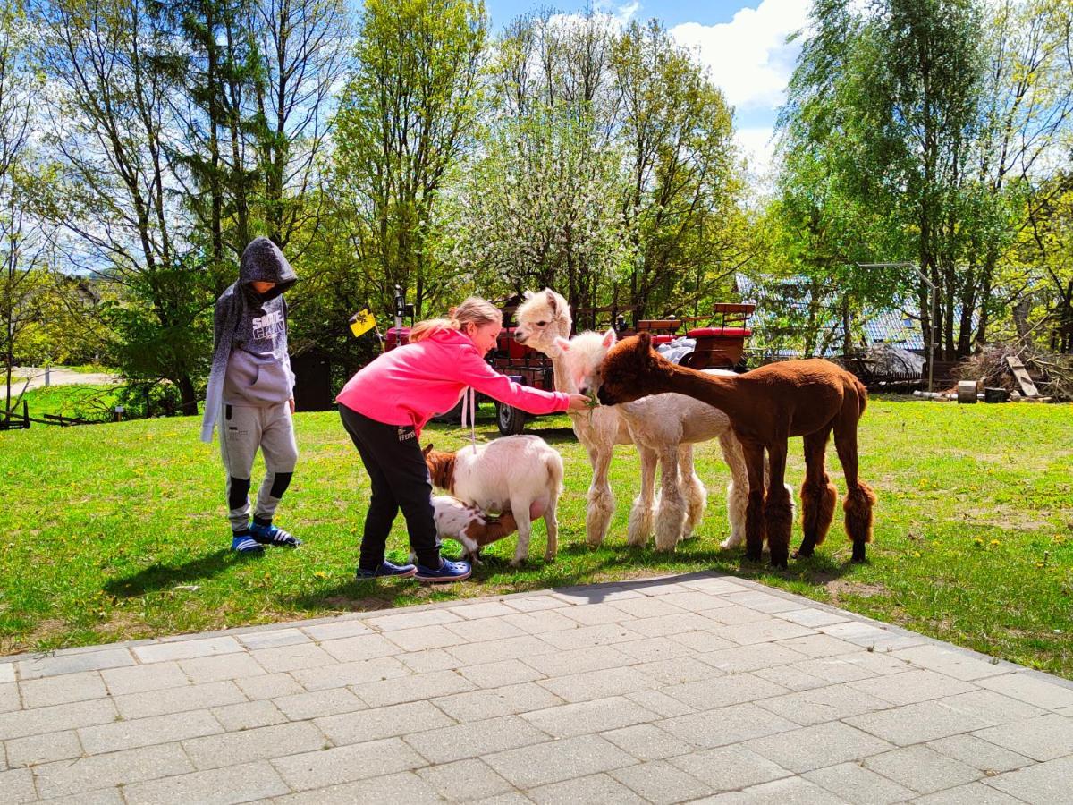 Domek Na Slonecznikowej Chmielno Bagian luar foto