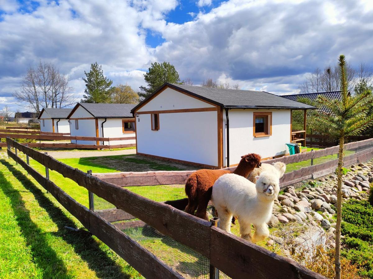 Domek Na Slonecznikowej Chmielno Bagian luar foto