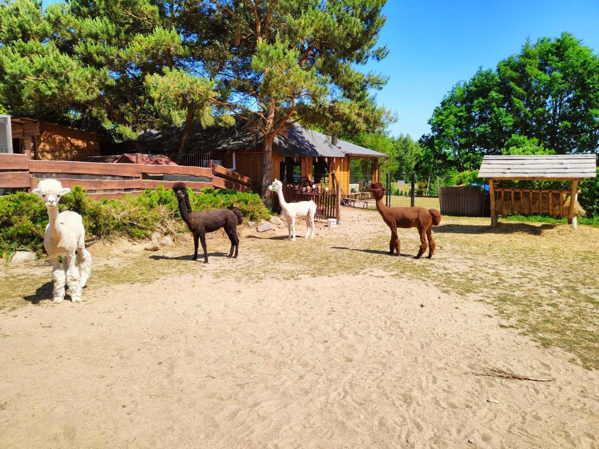 Domek Na Slonecznikowej Chmielno Bagian luar foto