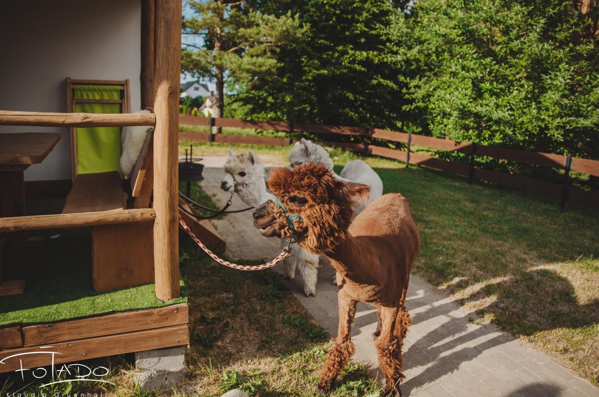 Domek Na Slonecznikowej Chmielno Bagian luar foto