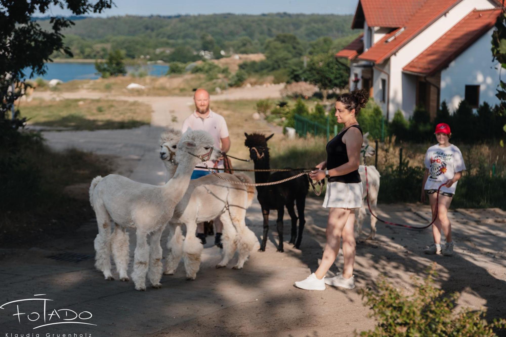 Domek Na Slonecznikowej Chmielno Bagian luar foto